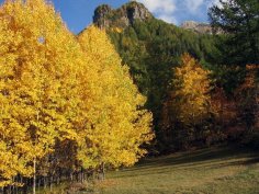 paysage-hautes-alpes-crots-serre-ponçon